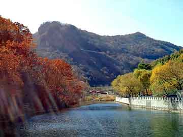 新澳门二四六天天彩，淋浴器喷头